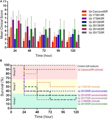 Genotypic Diversity and Pathogenic Potential of Clinical and Environmental Vibrio parahaemolyticus Isolates From Brazil